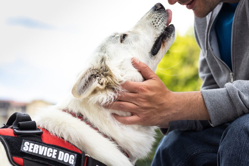 are service dogs allowed in restaurants in florida