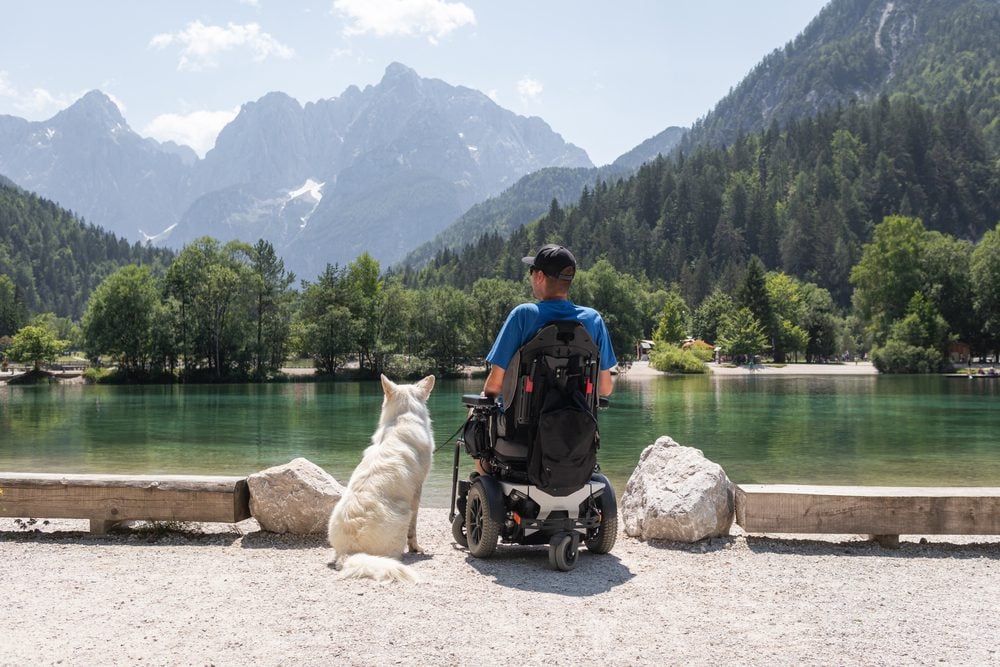 service dog with man in wheelchair