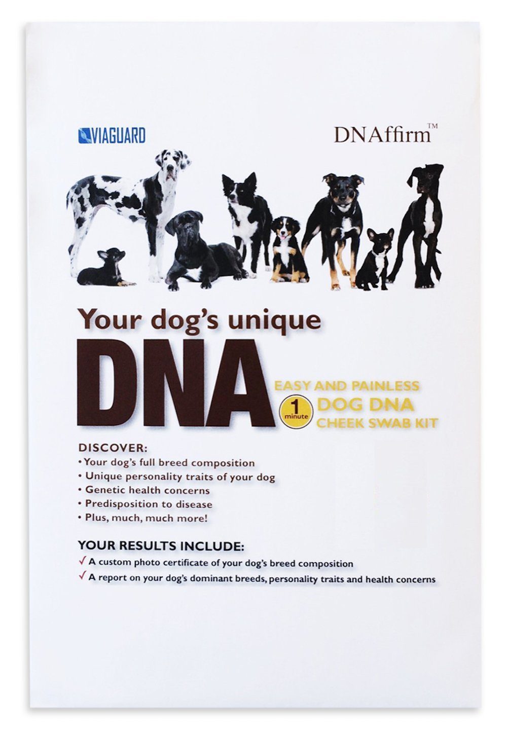 Best Dog DNA Tests