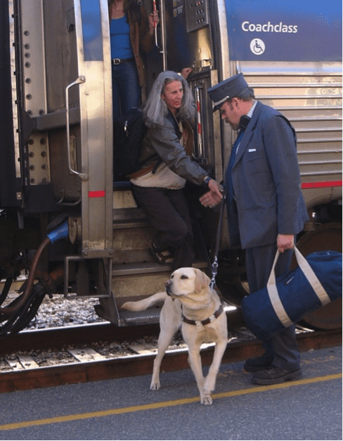 amtrak service animal