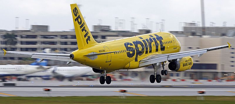 spirit airlines service animal