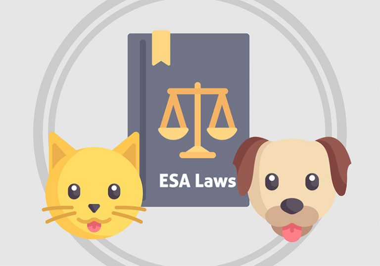 emotional-support-animal-laws-massachusetts