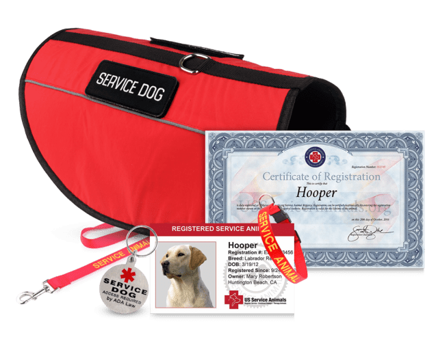 how can i get a certificate for a service dog