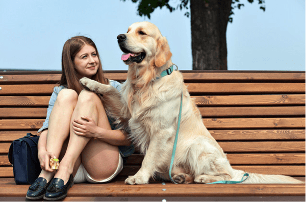 do therapy dogs count as service dogs