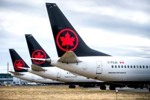 Air Canada Emotional Support Animal Policy In 2019