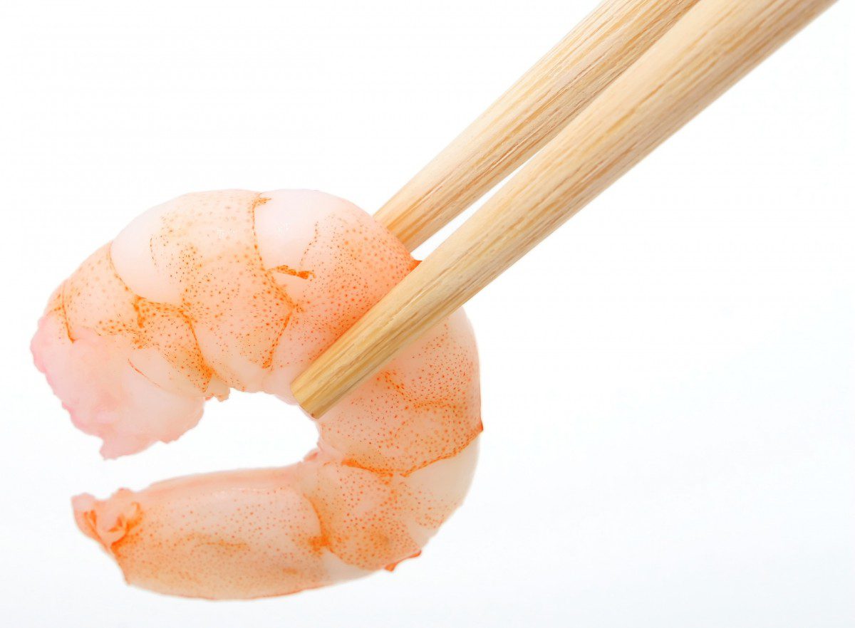 is boiled shrimp good for dogs