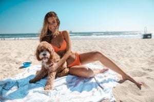 Pet Friendly Florida Beaches