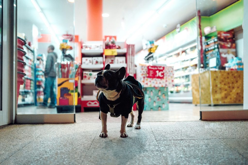 PetFriendly Stores in the USA Bring Your Pet With You