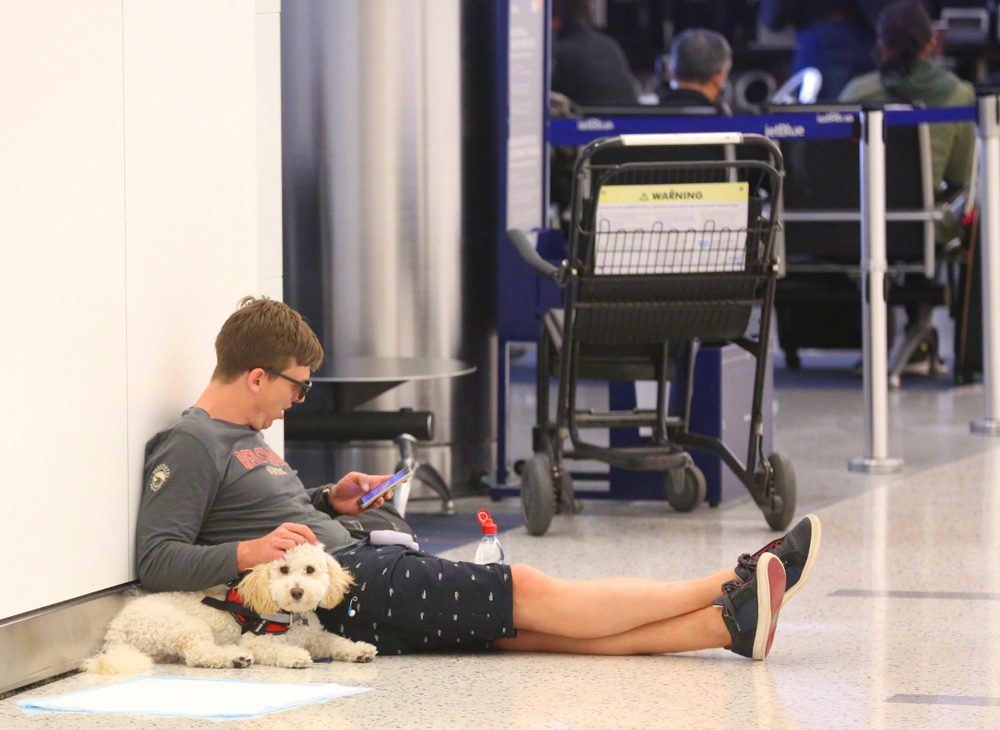 man sits on an airport floor with dog