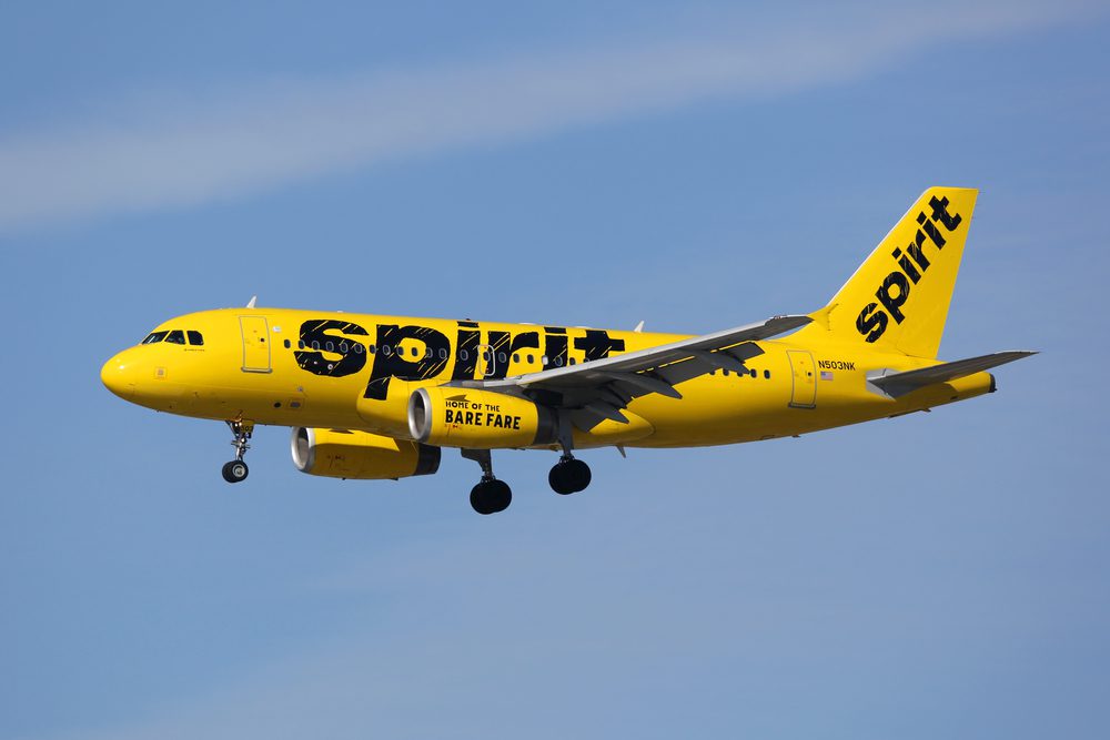 does spirit airlines allow dogs in cabin