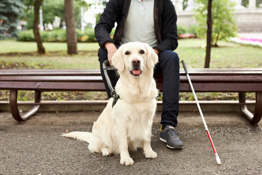 blind man with service dog