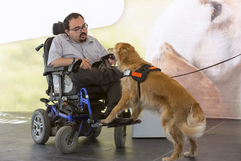 man in wheelchair with service dog