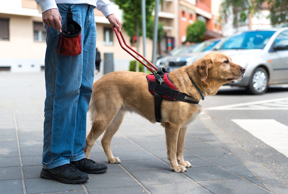 man with service dog