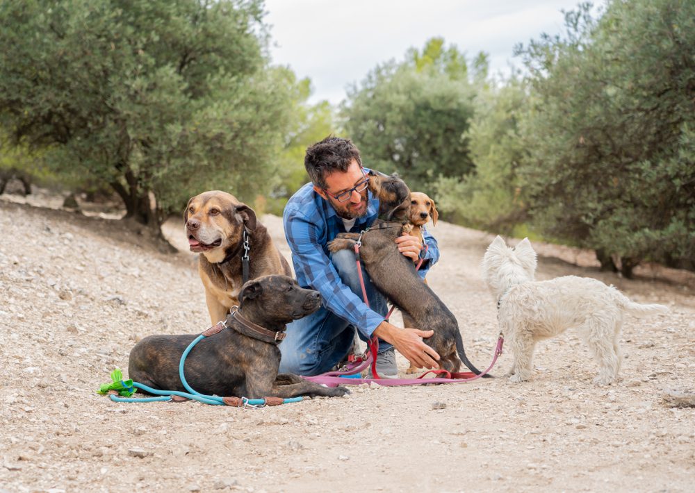 Service Dog Training