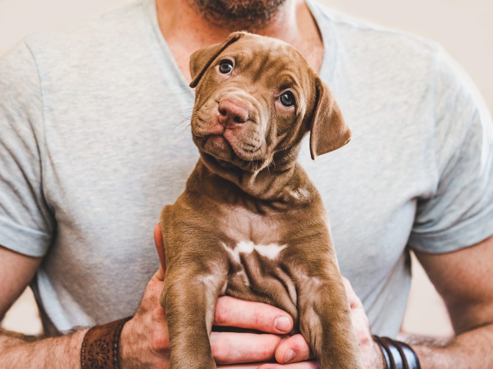 man holding a young puppy