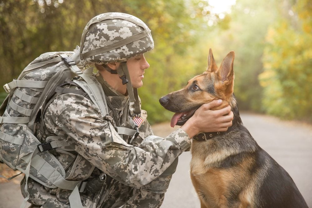 veteran with service dog