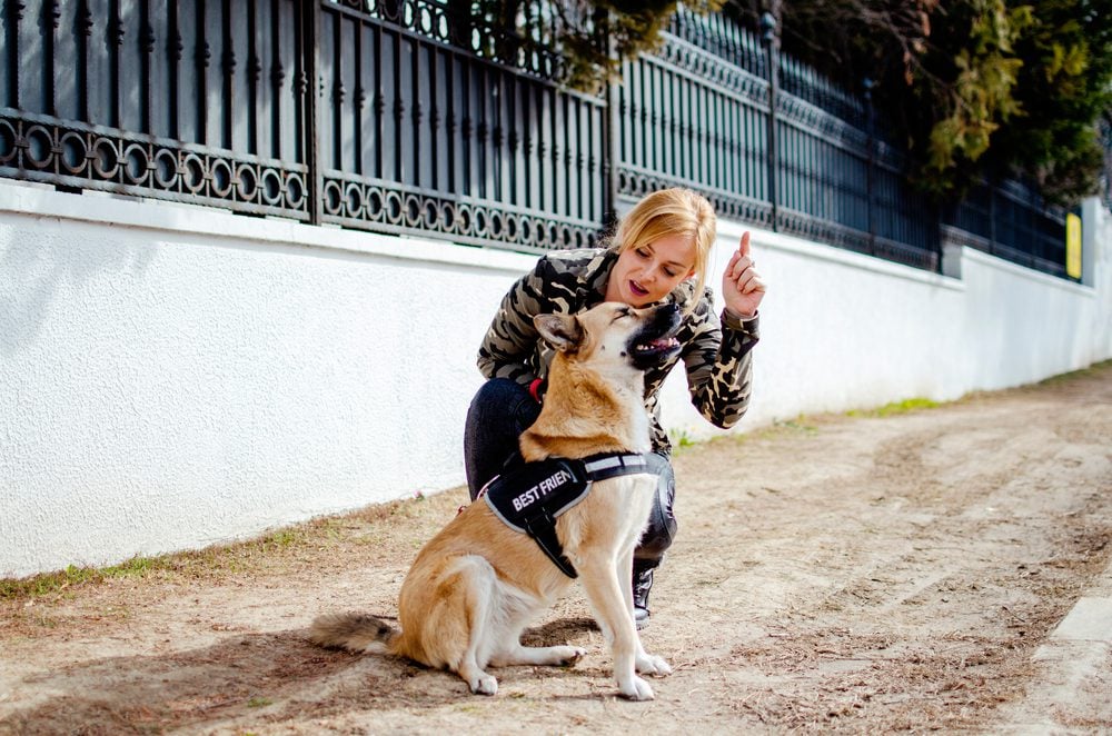 woman training service dog