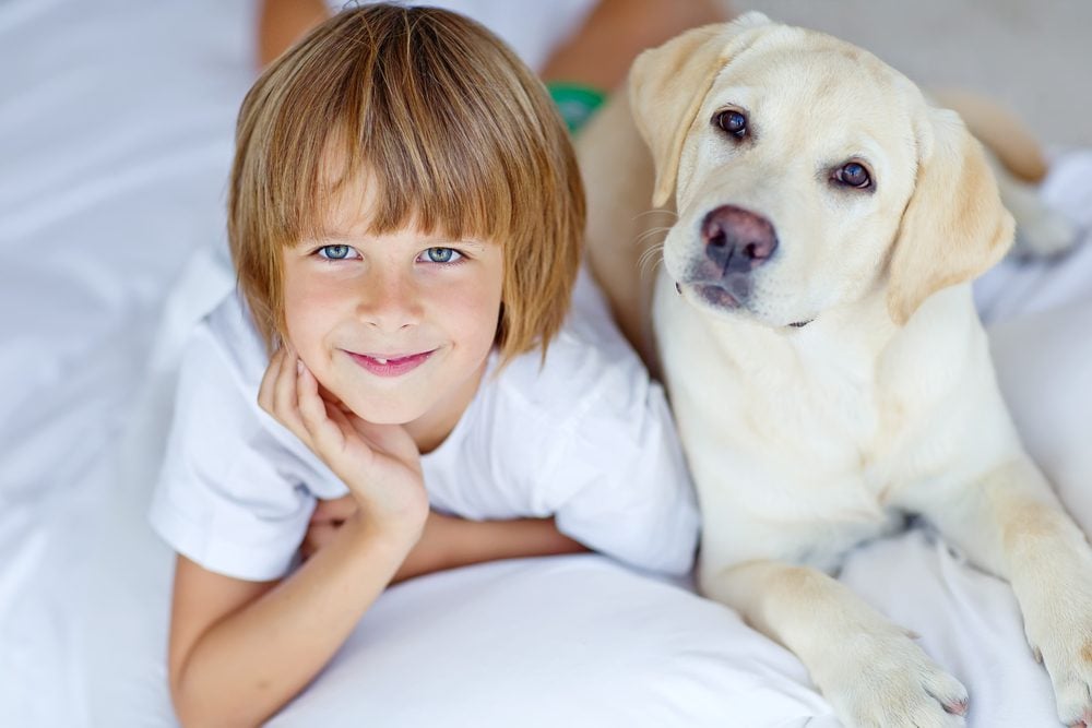 Best small dog clearance breed for autistic child