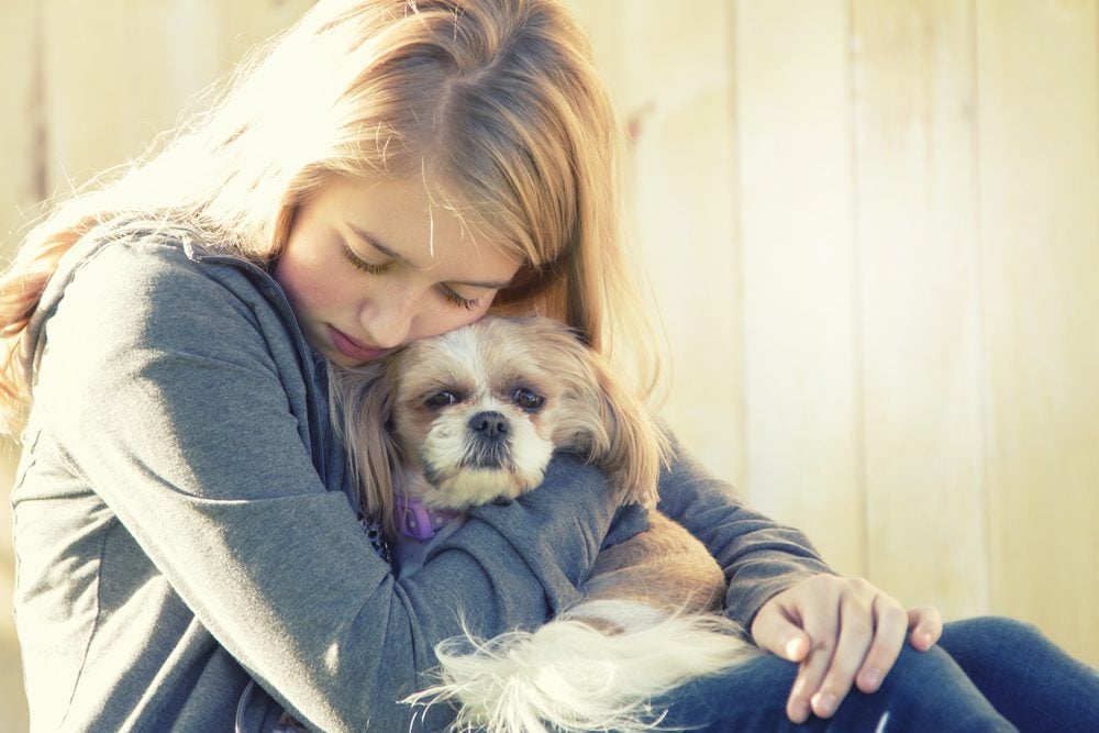 can therapy dogs sense sadness