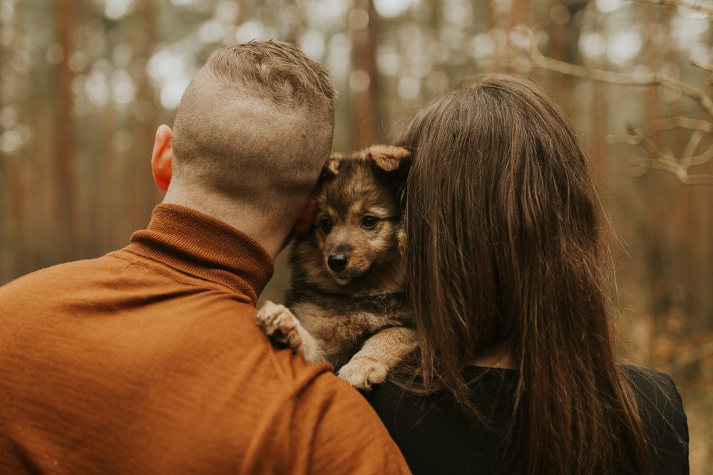 can therapy dogs sense sadness