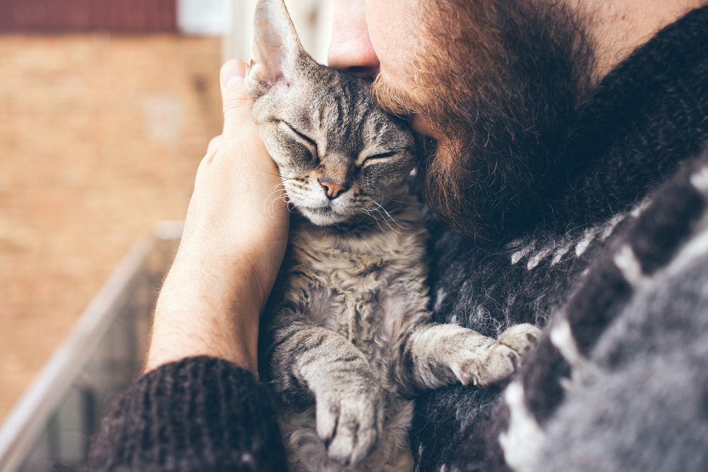 Bearded man cuddling a grey, striped cat