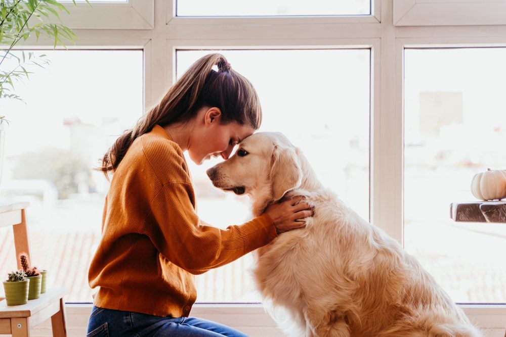 Woman touches foreheads with golden retriever