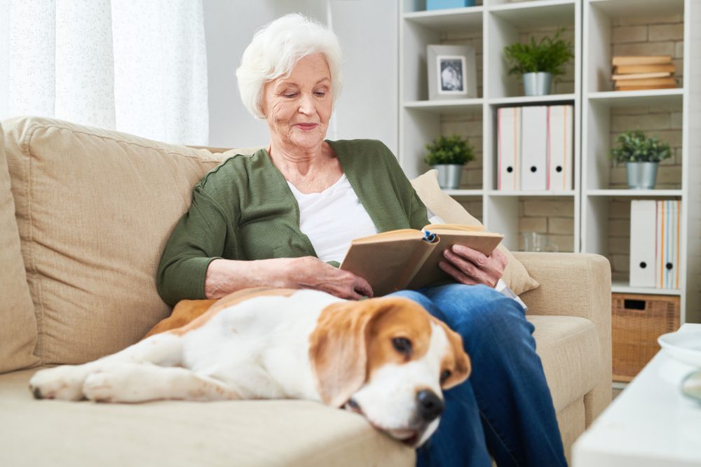 woman on couch reading by dog
