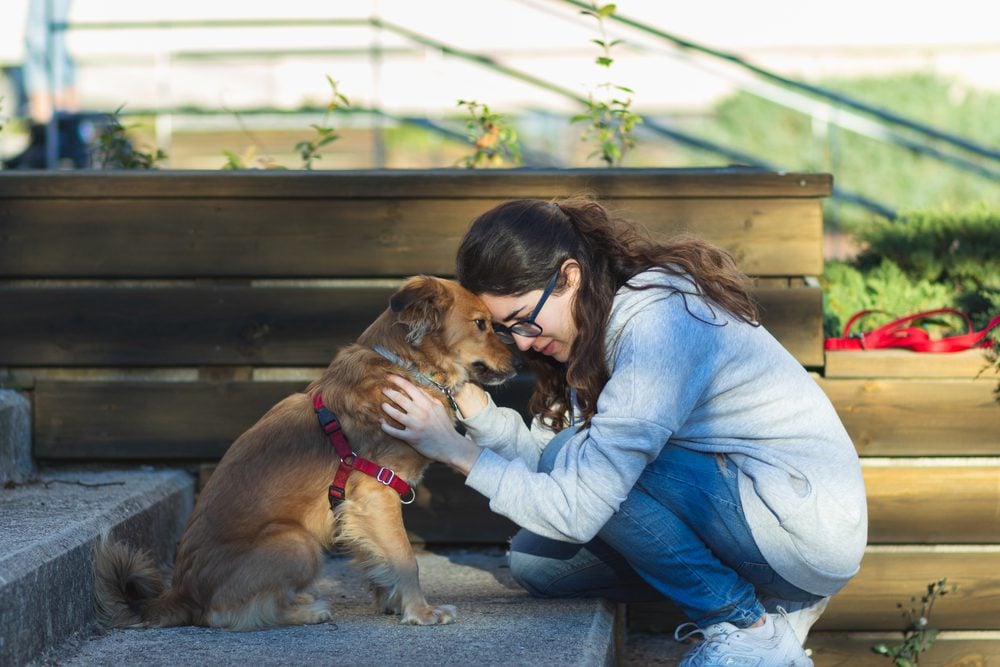 Girl petting support dog outdoors