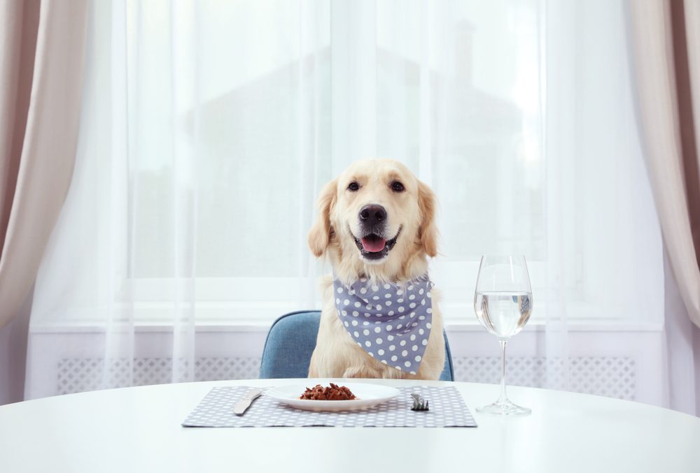 are companion dogs allowed in restaurants