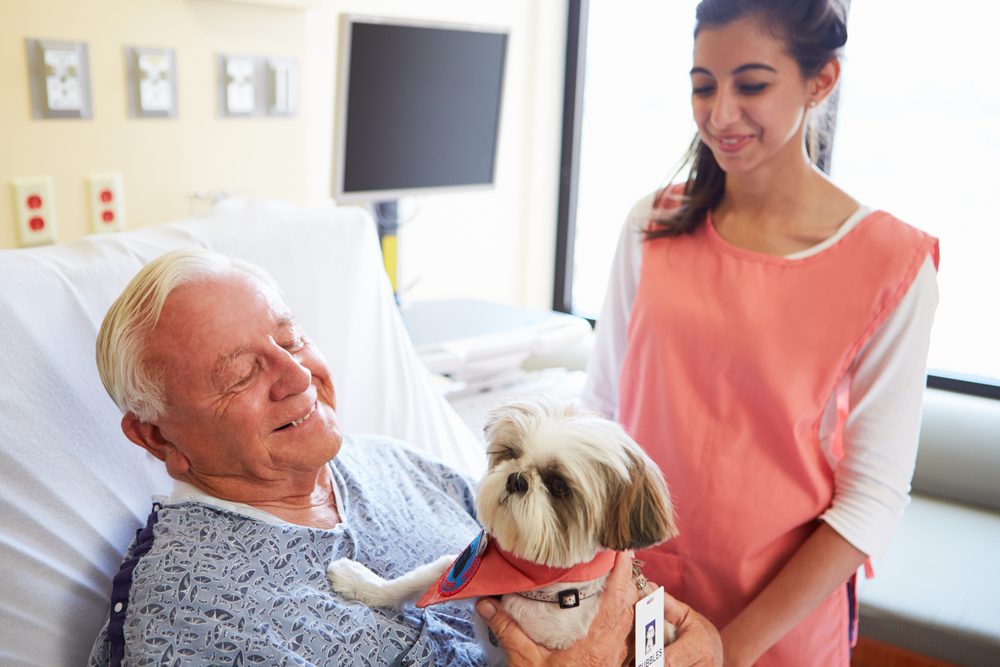 elderly man in hospital holding dog