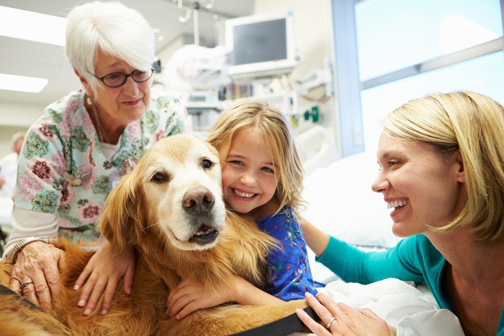 girl hospital hugs dog