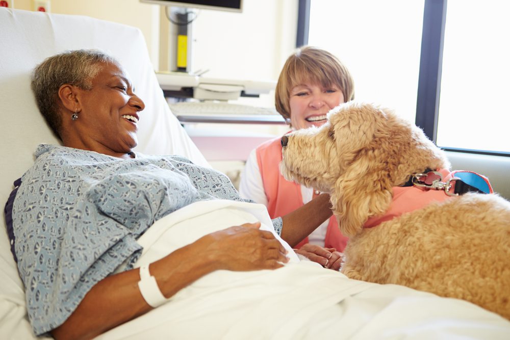 dog with women in hospital