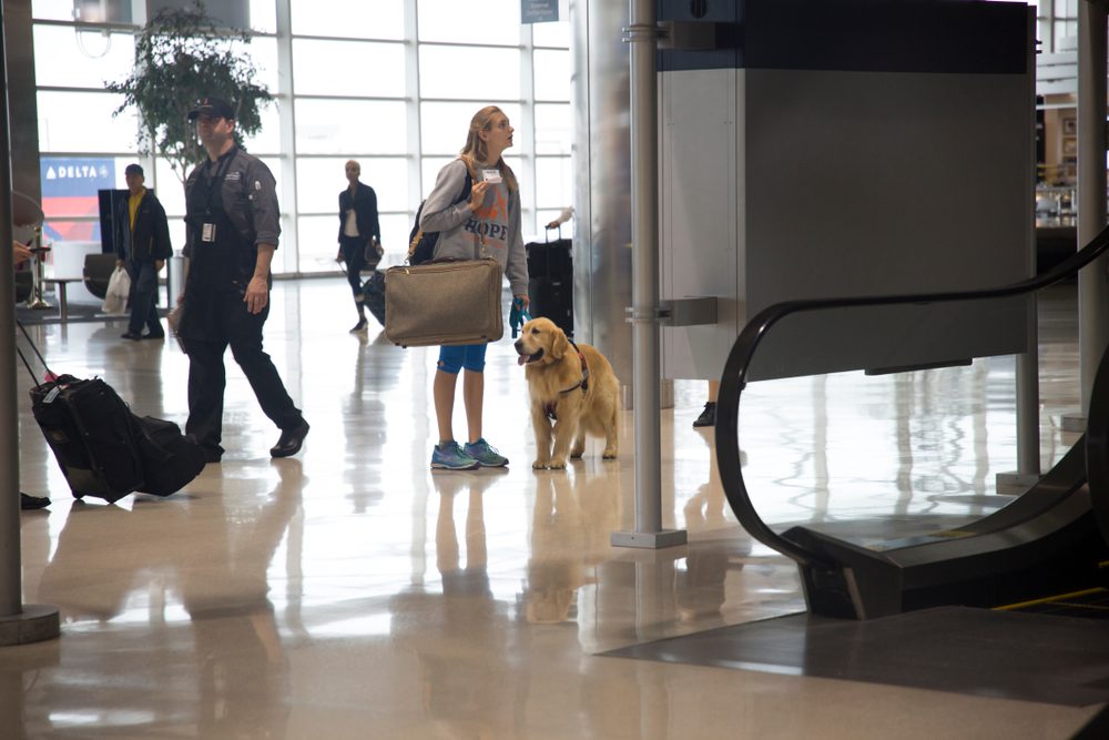 A woman with a harnessed golden retriever at an airport