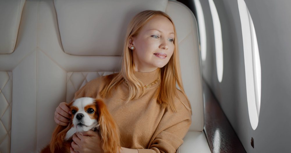 Woman with a King Charles spaniel on her lap looks out an airplane window