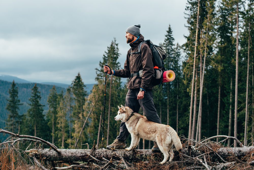man walking with husky in woods
