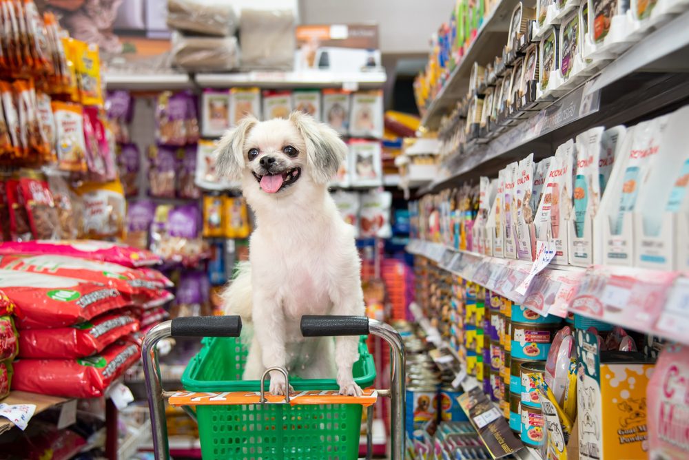 happy dog standing in shopping cart