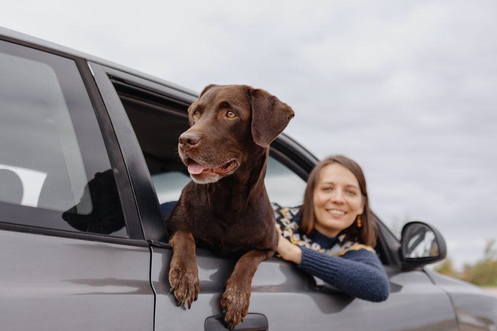 Pet Friendly Rental Car Chains