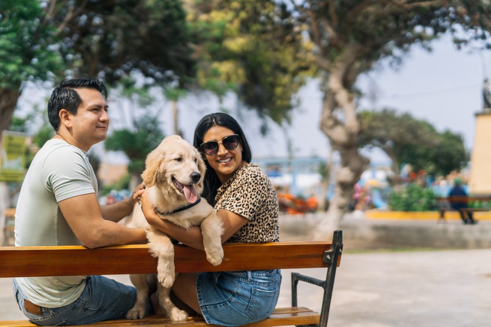 Are Dogs Allowed in Disney Springs?