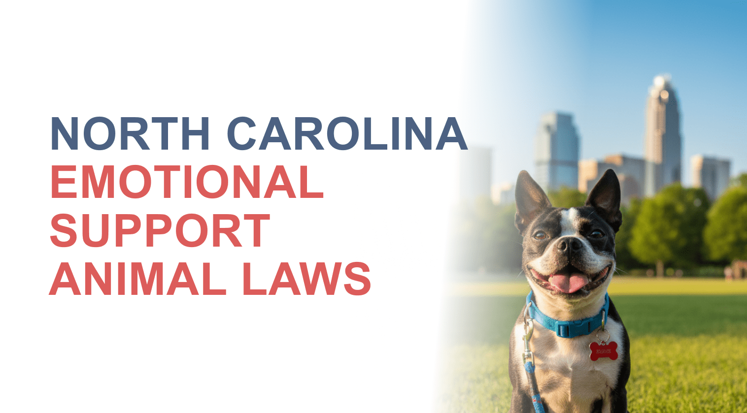 Emotional Support Animal Laws in South Carolina: What You Must Know