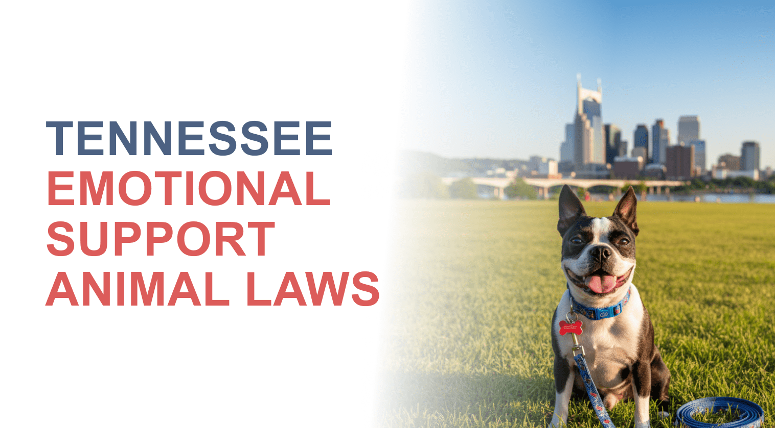 Emotional Support Animal Laws in Tennessee: Essential Rights & Rules