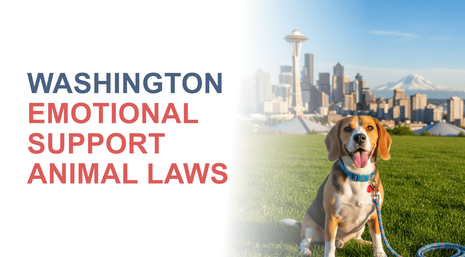 Service Animal Laws in Washington State: Essential Rights & Rules