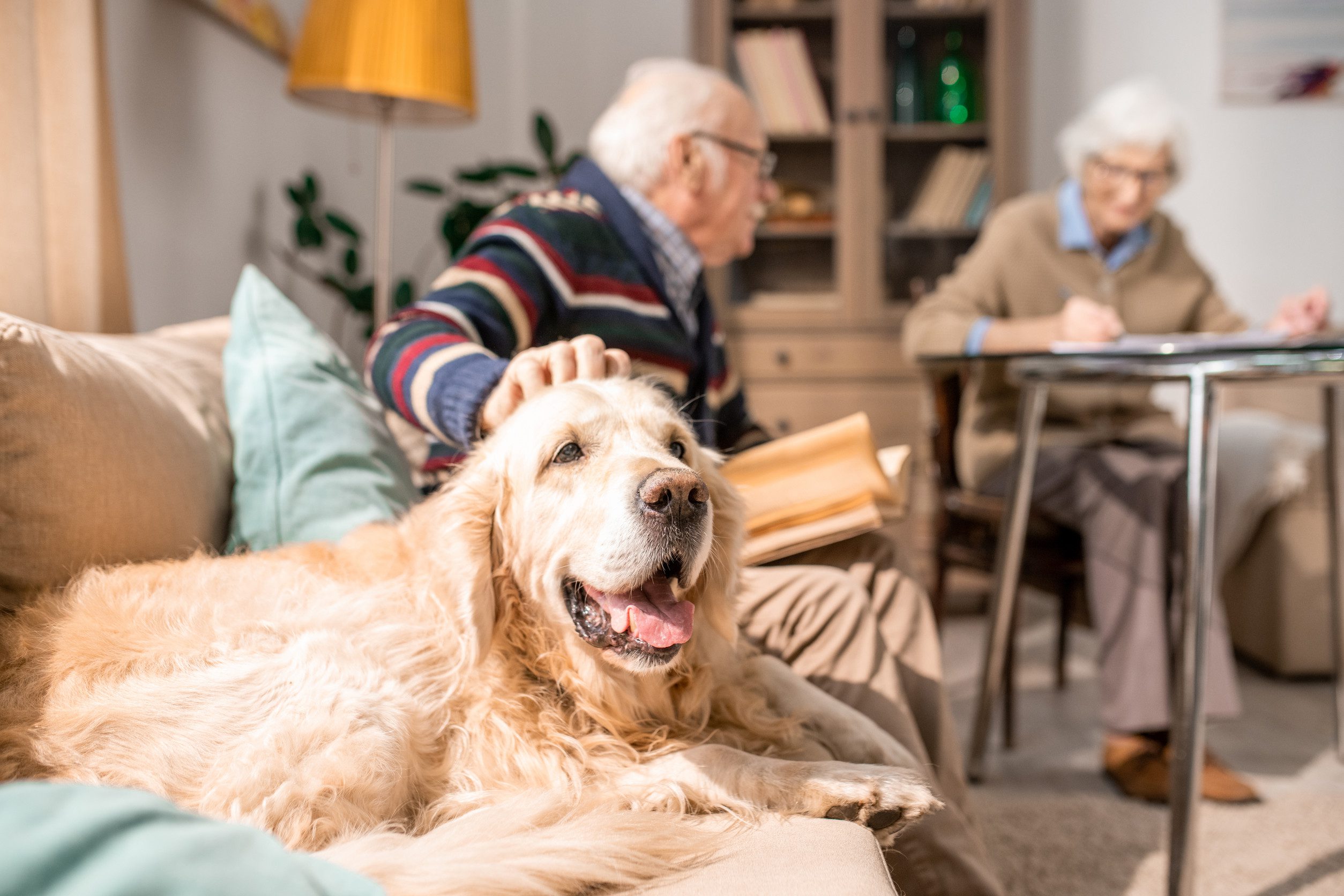 An old couple sitting in their living room with their emotional support animal in Vancouver, WA.