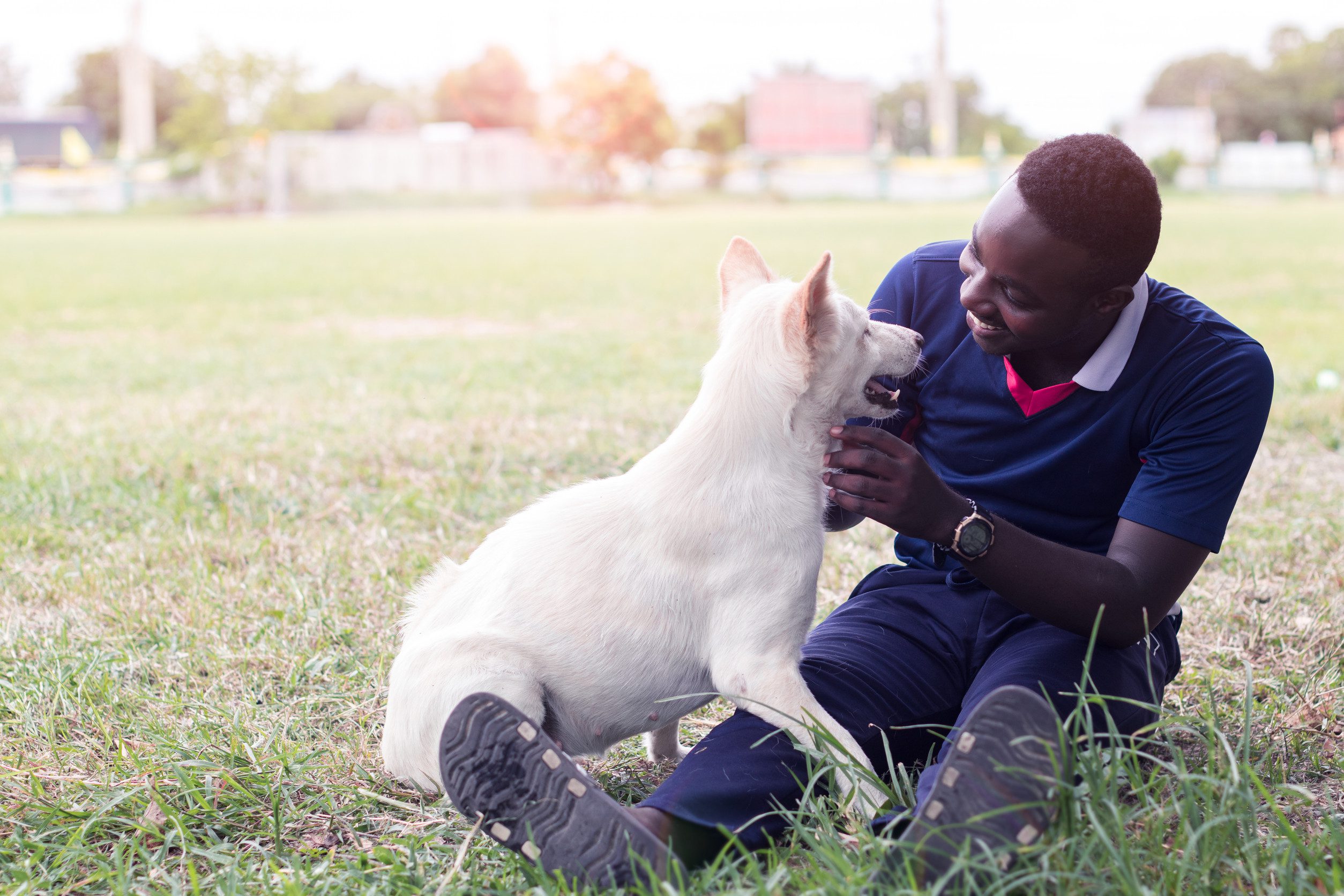 Best Emotional Support Dogs: How to Choose the Right Breed for Your ...